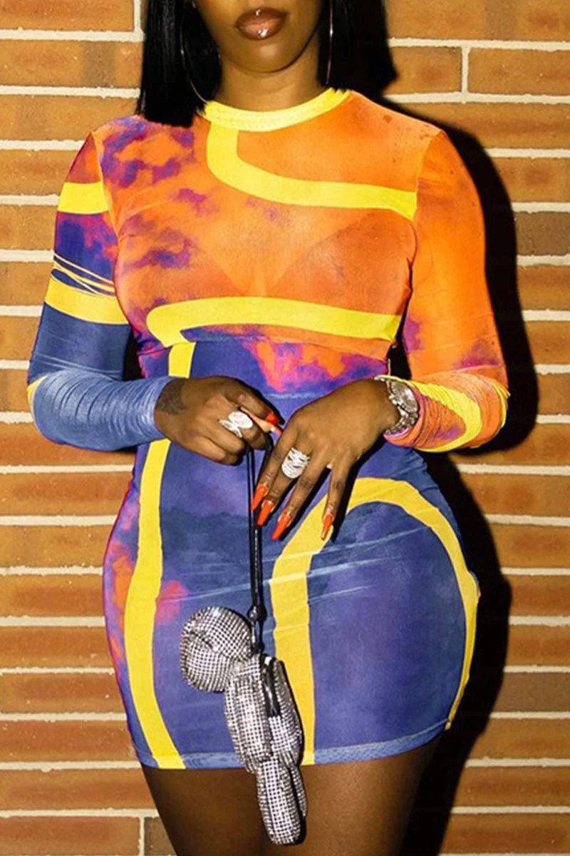 Sexy Print Patchwork See-through O Neck Pencil Skirt Dresses
