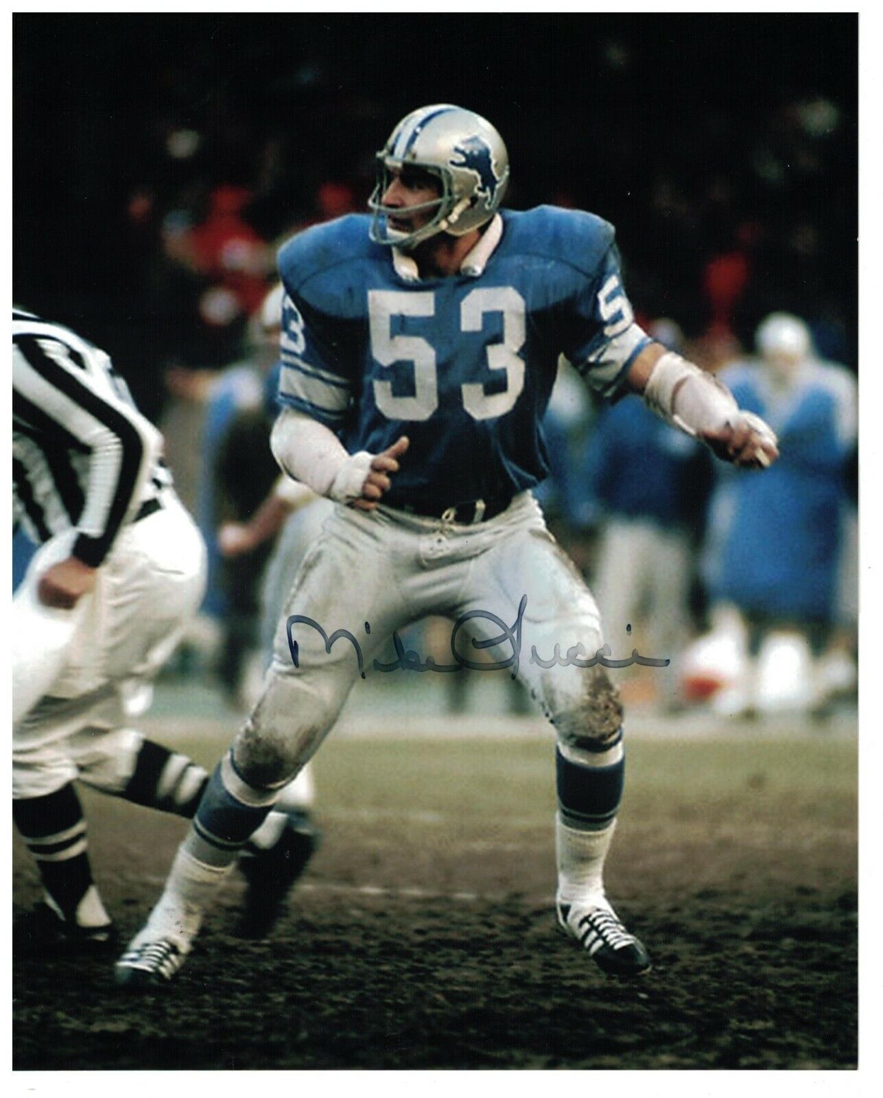Mike Lucci Signed Autographed 8 x 10 Photo Poster painting Detroit Lions