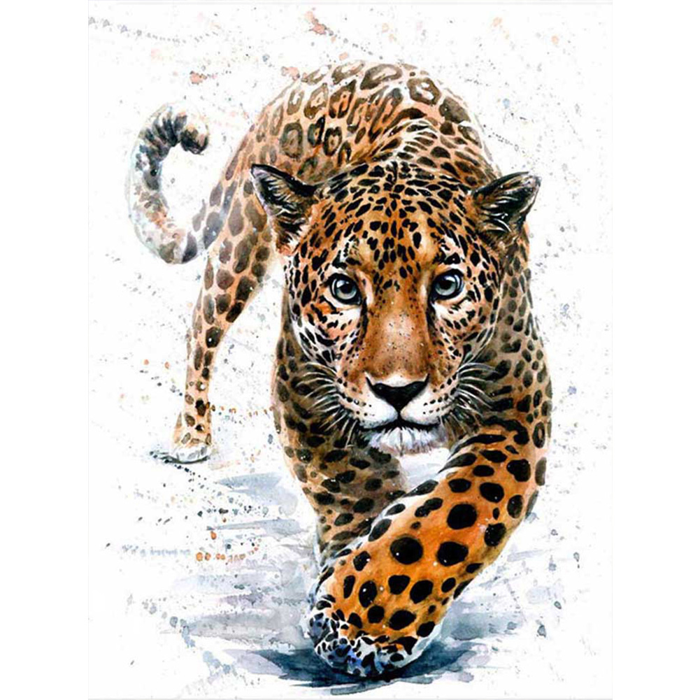 

Leopard - Square Drill Diamond Painting - 40*50CM, 501 Original
