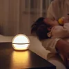 Sphere Bedside Camping Atmosphere 2025 New Night Light Smart APP Control