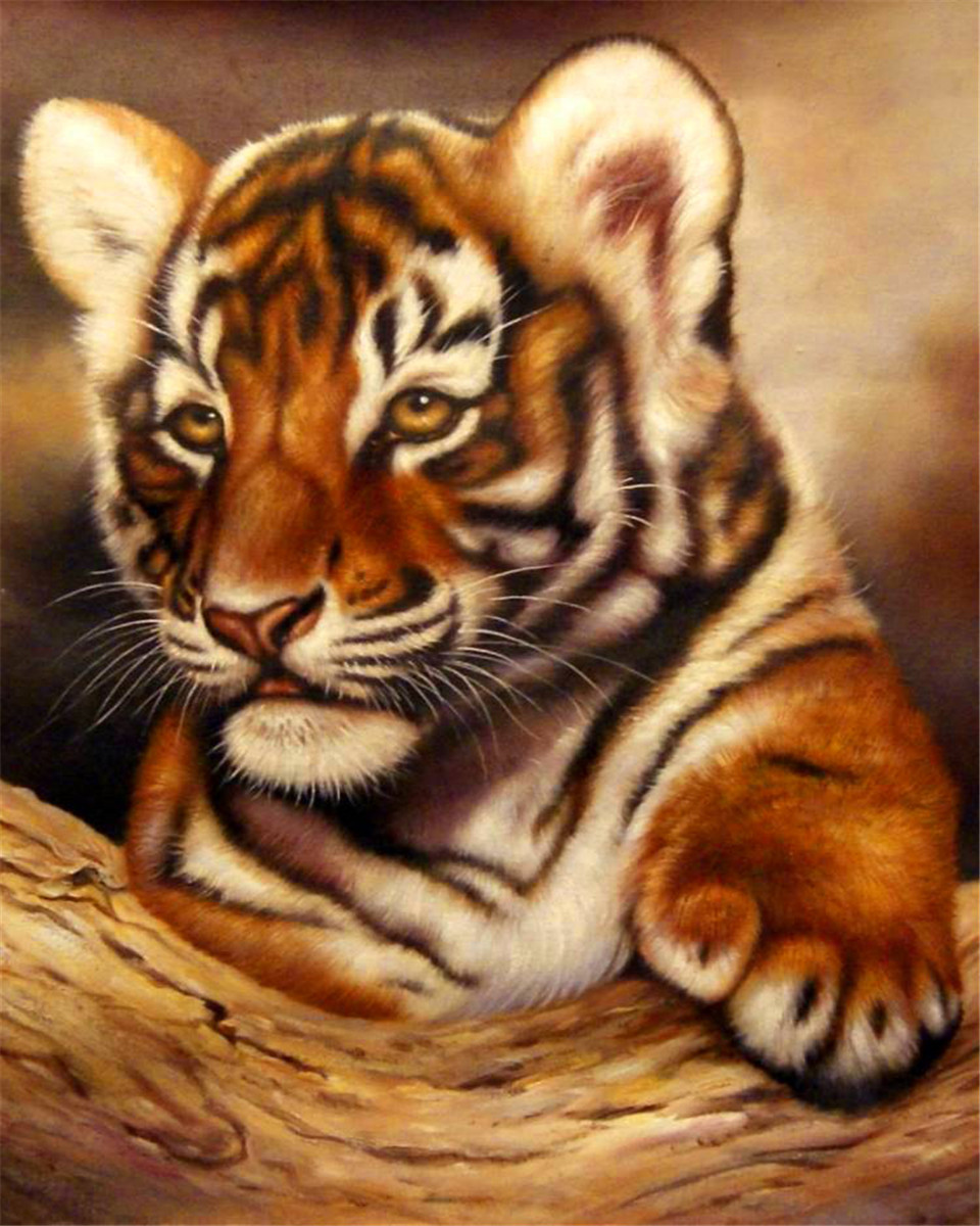 DIY Painting By Numbers Tiger 40*50cm