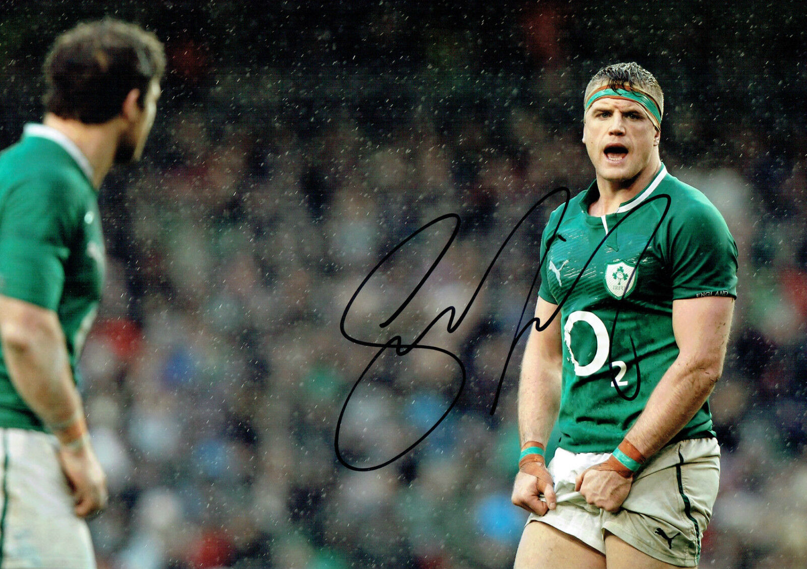 Jamie HEASLIP Signed Autograph 18x12 RARE Ireland RUGBY Union Photo Poster painting AFTAL COA