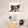 Yorkshire Terrier-11CT Stamped Cross Stitch 40*40cm/15.75*15.75in tapestrymarket