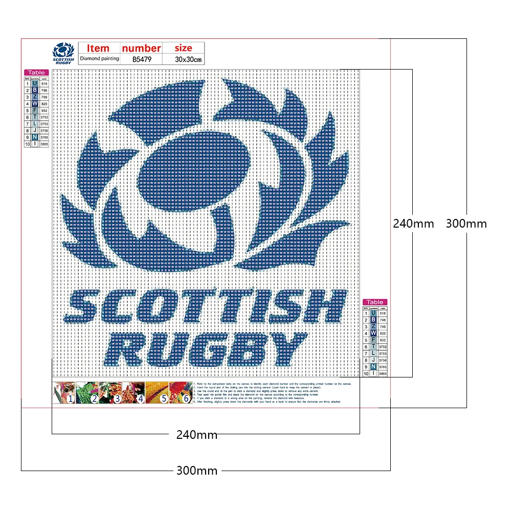 Full Round Diamond Painting 30*30cm - Scottish Rugby Union