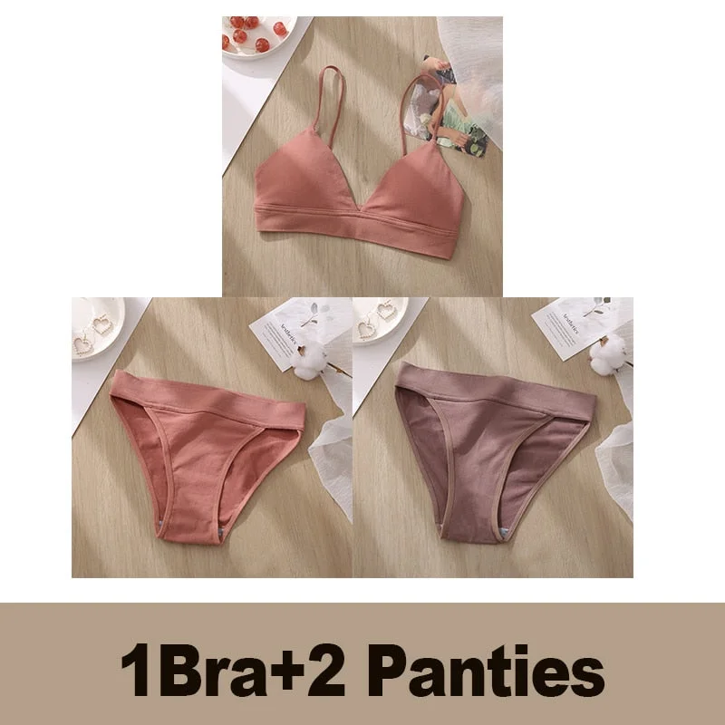 Bra Set Women's Underwear Push Up Bras Sexy Bralette Seamless Brassiere Gather Padded Female Wirefree Intimates Lingerie 2/3PCS