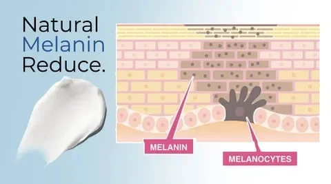 Body Whitening Cream Moisturizing Brighten Body Lotion