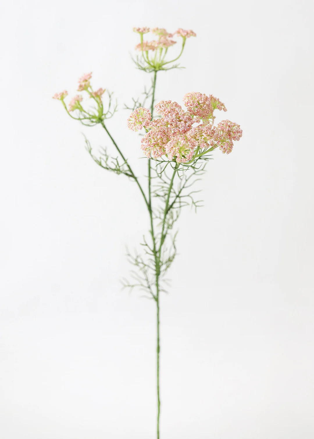 Faux Dill Wildflowers in Pink - 35"