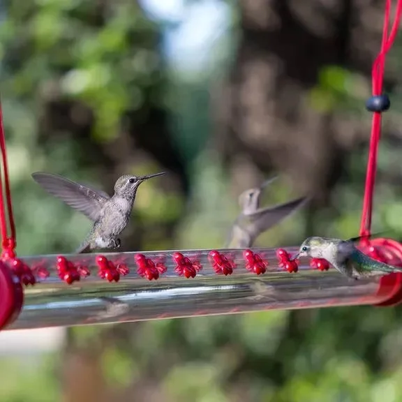 BOB'S BEST HUMMINGBIRD FEEDER-BUY 2 FREE SHIPPING