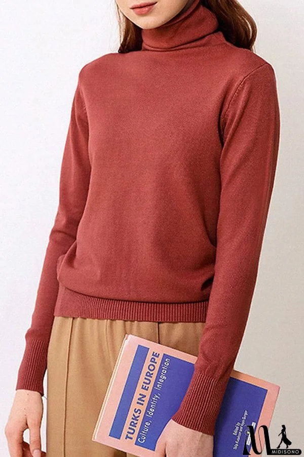 MidiSono - Turtleneck Sweater