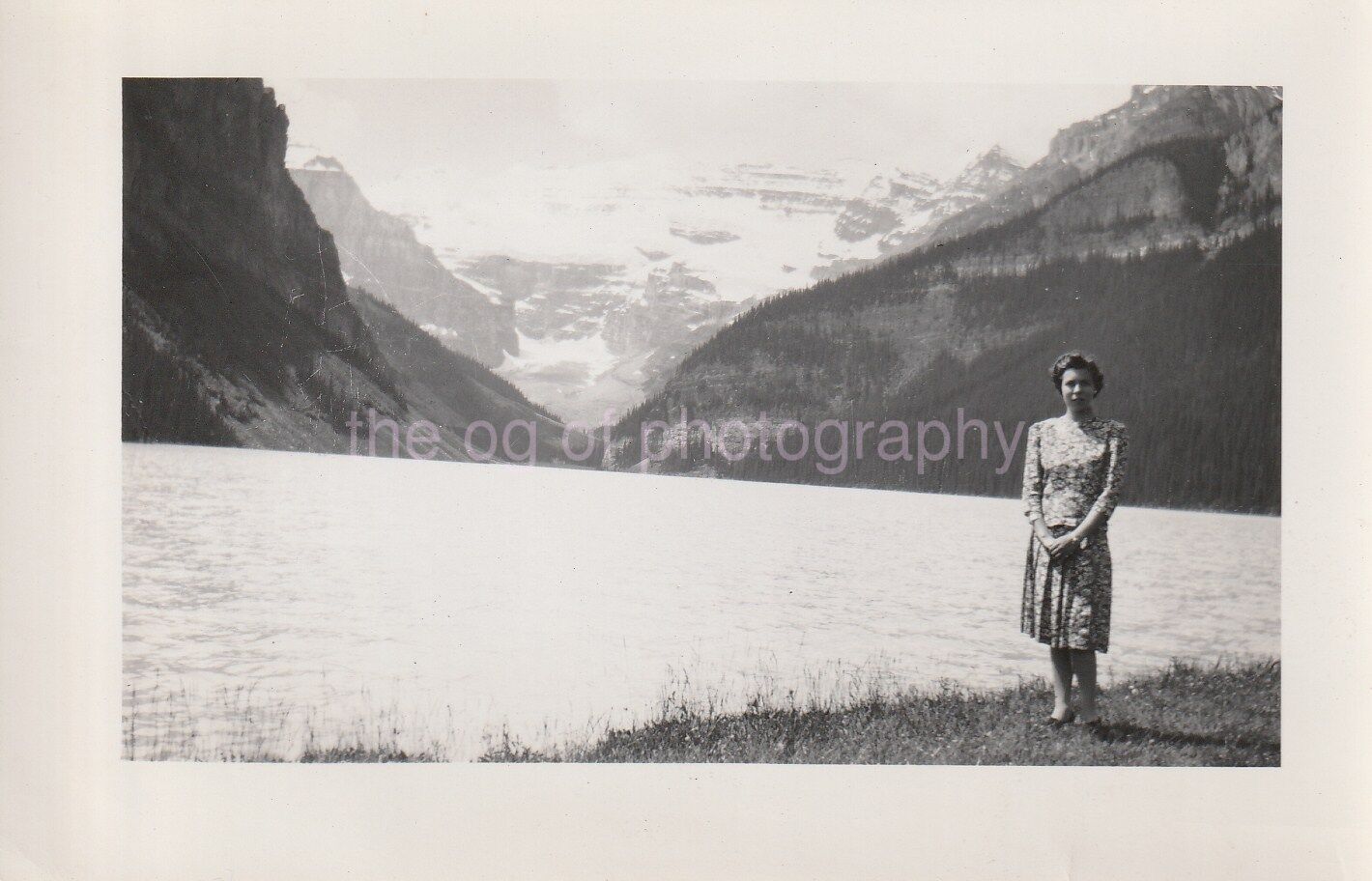 A WOMAN IN NATURE Vintage FOUND Photo Poster paintingGRAPH bwOriginal 812 2 Q