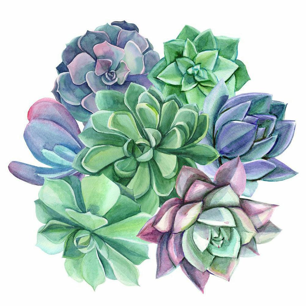 

30x30cm Round Drill Diamond Painting-Succulents Plant Ornaments, 501 Original