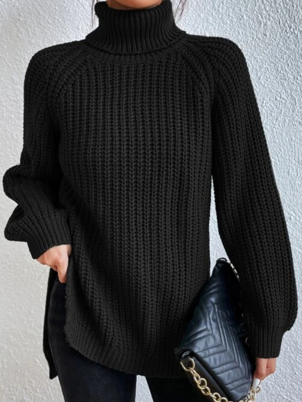 Turtleneck Raglan Sleeve Split Hem Sweater