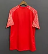 2022 Canada Home Football Shirt 1:1 Thai Quality