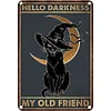 Cat - Vintage Metal Signs - 20*30cm/30*40cm