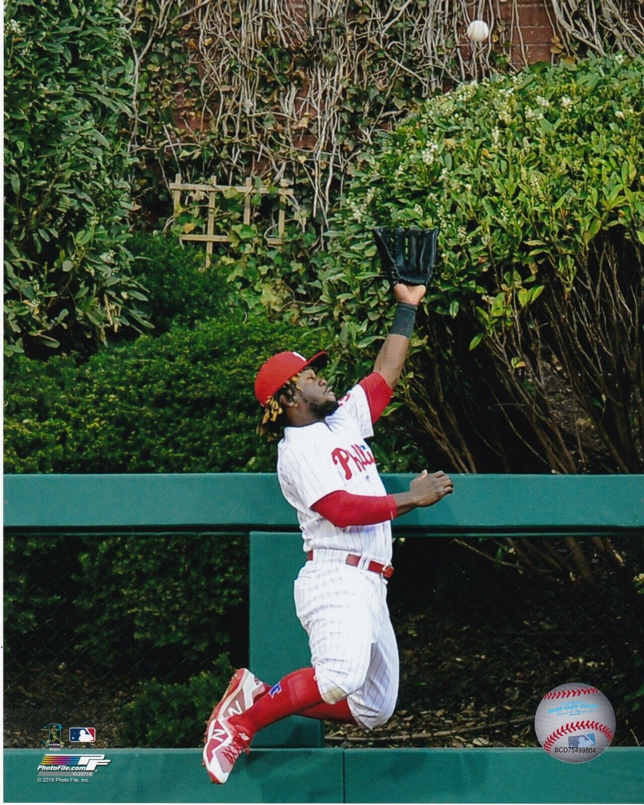 ODUBEL HERRERA PHILADELPHIA PHILLIES Photo Poster paintingFILE LICENSED 8x10 Photo Poster painting