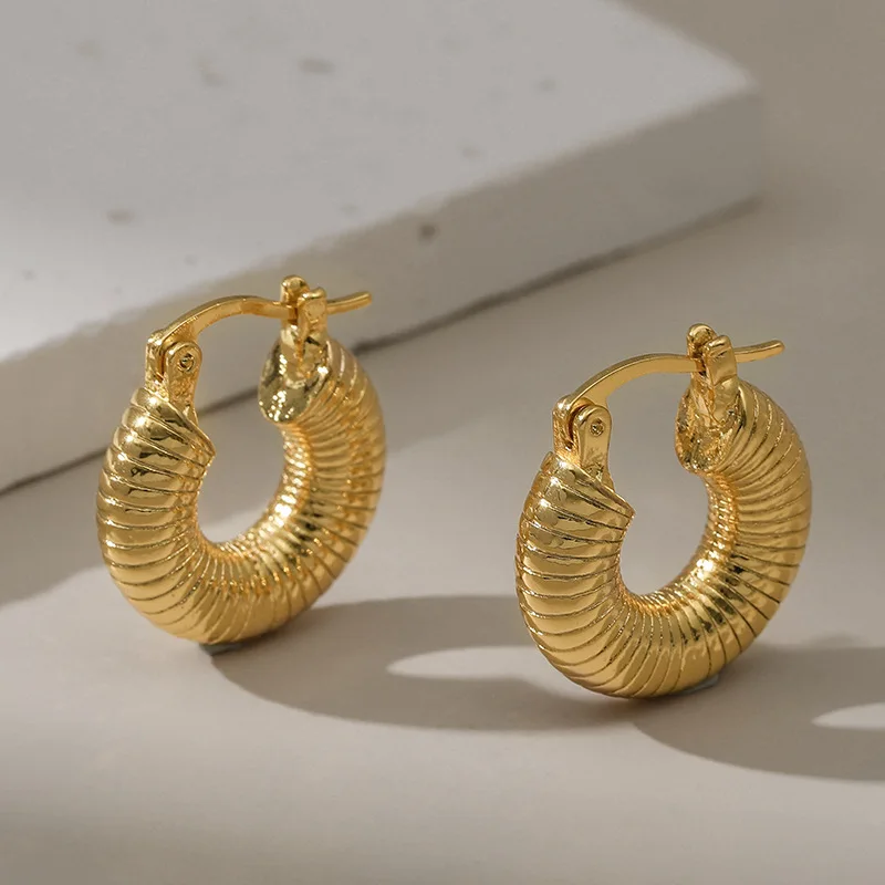 Iplaynox 2025 Trendy Round Chunky Hoop Earrings Gold Color Stainless Steel Jewlery New Metal 18 K Plated Accessories Waterproof