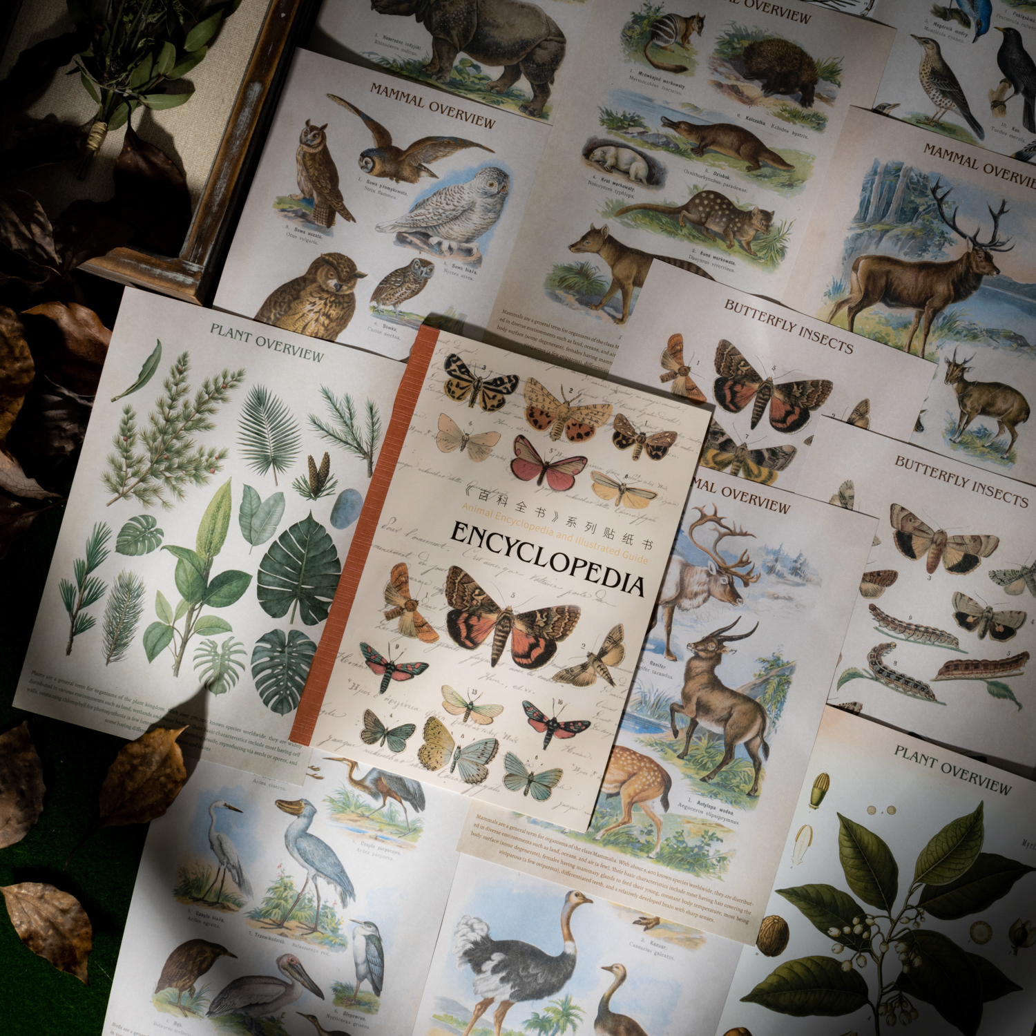 스티커북 - 백과사전 시리즈 빈티지 꽃 나비 새 동물