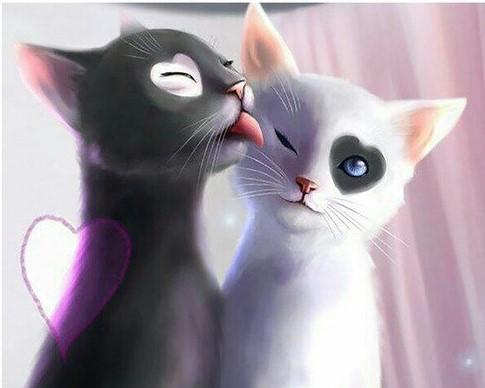 

Black and White Cats In Love – Paint By Numbers - 40*50CM, 501 Original