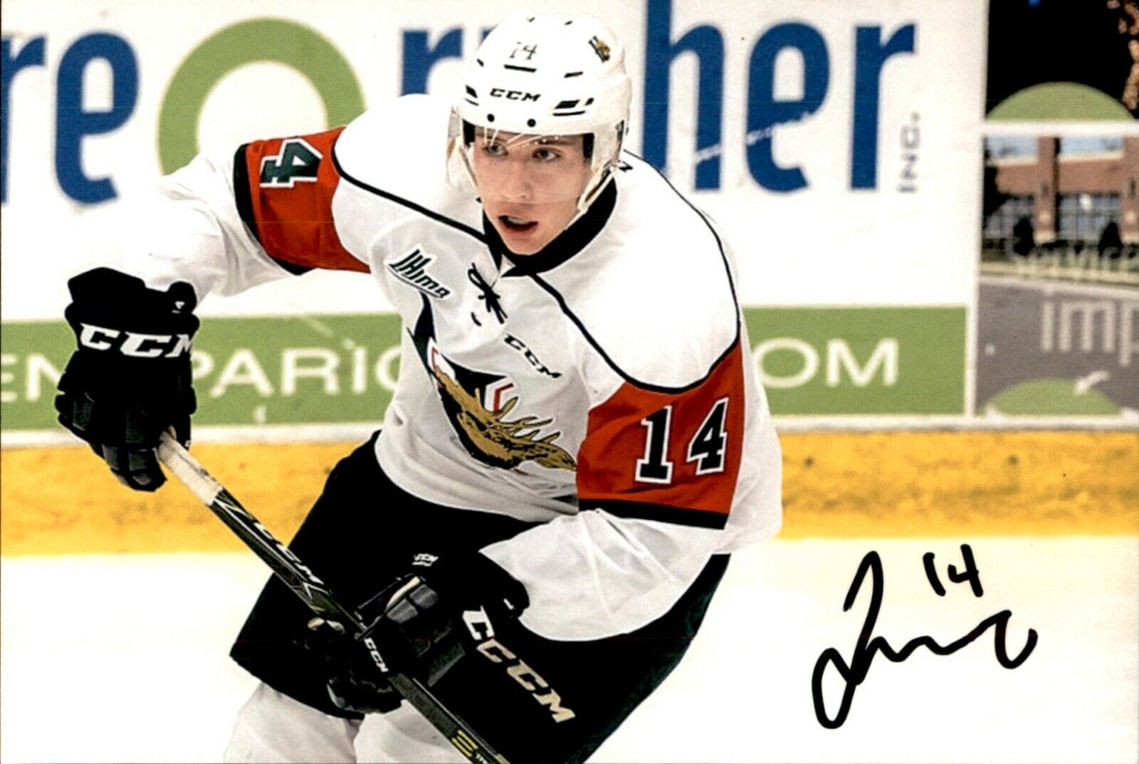 Jared McIsaac SIGNED auto 4x6 Photo Poster painting HALIFAX MOOSEHEADS / DETROIT RED WINGS #6