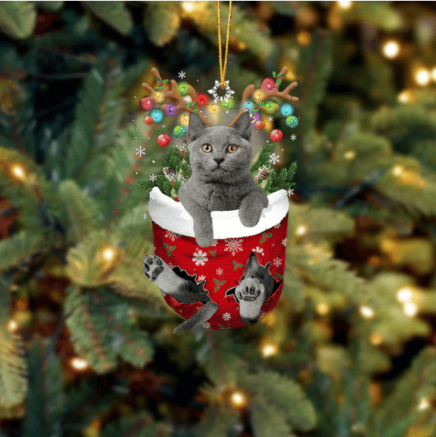 Cat 7 In Snow Pocket Ornament