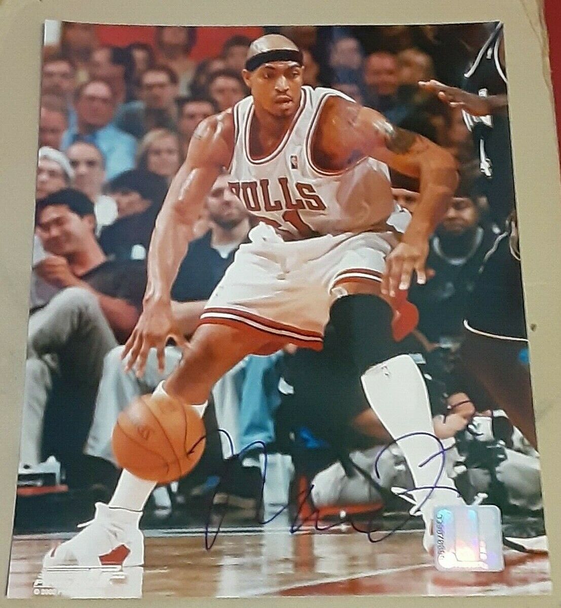 Marcus Fizer Chicago Bulls SIGNED AUTOGRAPHED ROOKIE Photo Poster painting FILE 8x10 Basketball