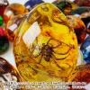 Insect Amber Pendant Natural Butterfly Specimen Insect Amber Necklace Children's Hanging Accessories