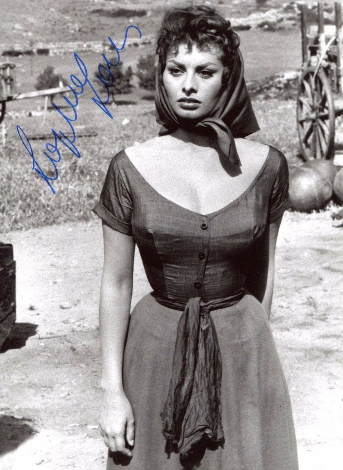 Sophia Loren ACTRESS ACADEMY AWARD autograph, In-Person signed Photo Poster painting