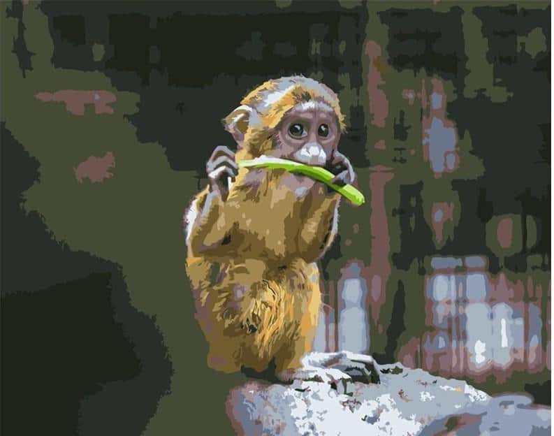 

Golden Monkey – Paint By Numbers - 40*50CM, 501 Original