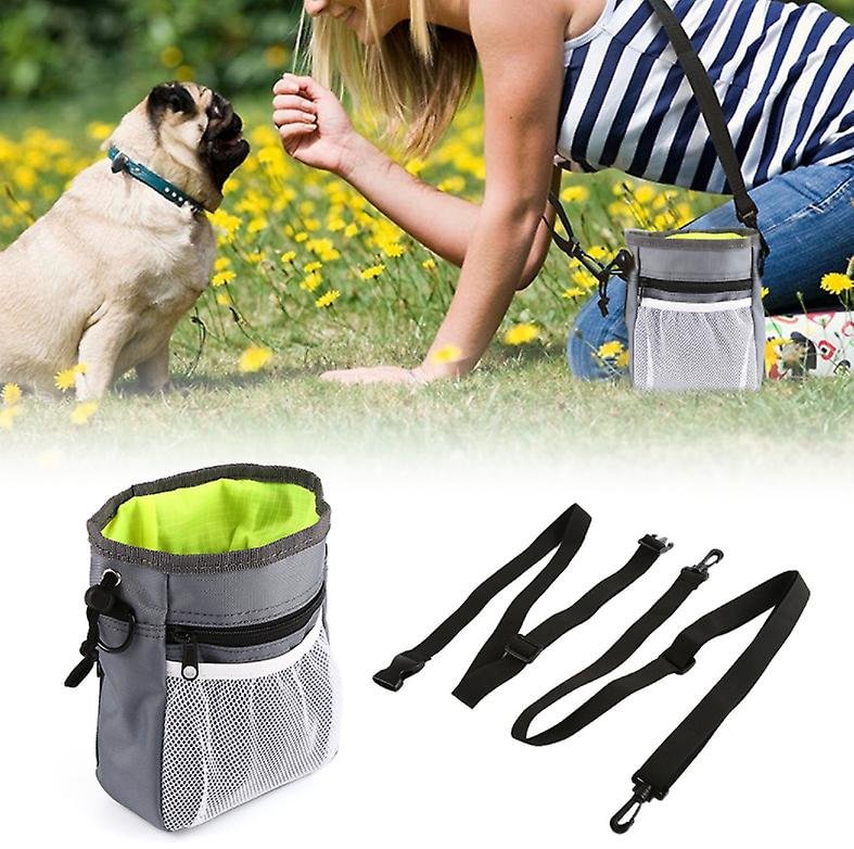 Treat Bag Pet Obedience Training Package Food Feeder Fanny Bag
