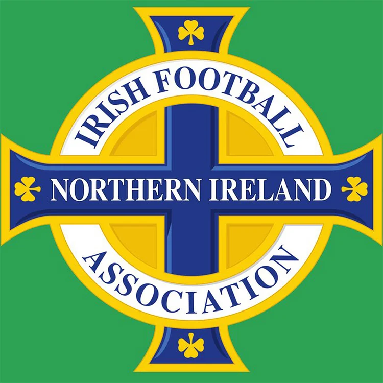 Football Association Of Ireland 40*40CM (Canvas) Full Round Drill Diamond Painting gbfke
