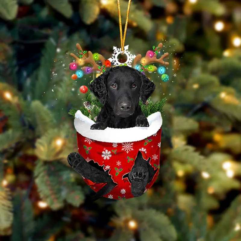 Curly Coated Retriever In Snow Pocket Christmas Ornament.