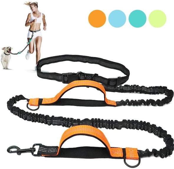 Retractable Dog Leash with Dual Bungees