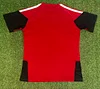 2026 Germany Training Suit Red Football Shirt 1:1 Thai Quality