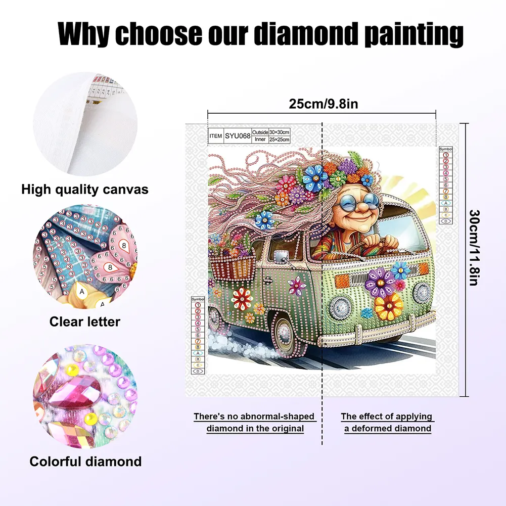 Diamond Painting - Partial Special Shaped Drill - Grandma(Canvas|30*30cm)
