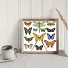 【Limited Stock Sale】Colorful Butterfly Logo-14CT Stamped Cross Stitch 34*30cm/13.39*11.81in tapestrymarket