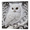 (Pre-Framed)White Owl-Special Shape Diamond Painting Kit(25x25cm)