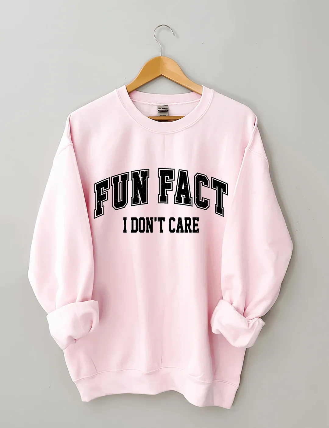 Fun Fact I Don't Care Sweatshirt