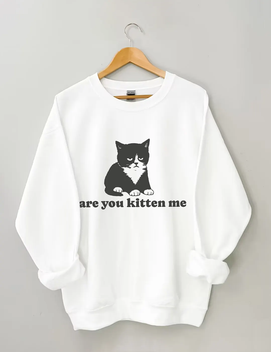 Are You Kitten Me Sweatshirt