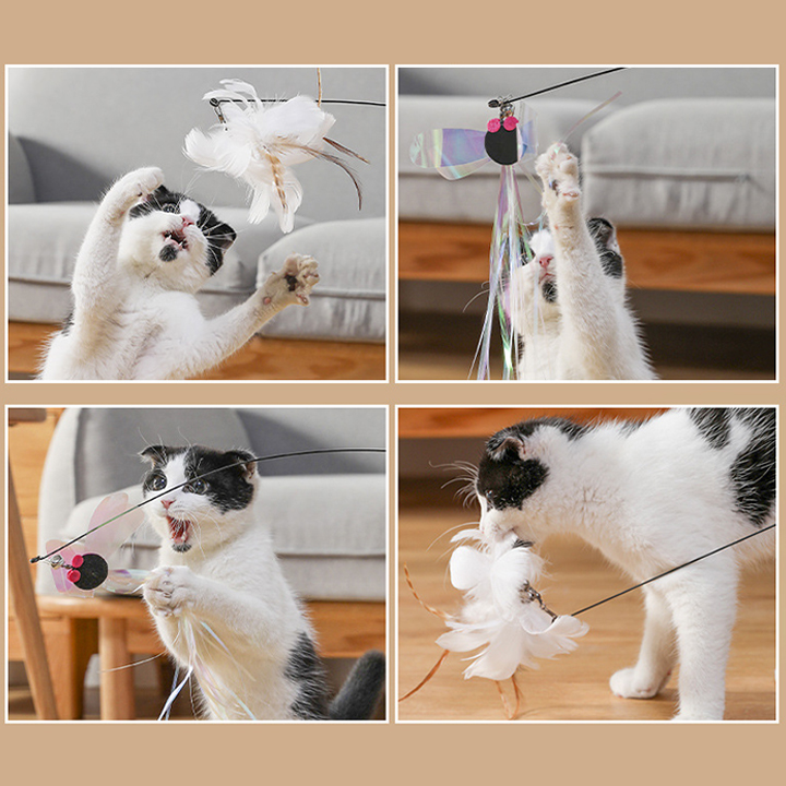 Two Cats Play with a Toy Rod with Feathers for Teasing. Vector