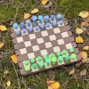 Magnetic Forest Mushroom Chess Set