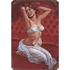 Sensual Lingerie Woman - Vintage Metal Signs(12*16Inch)-Pin-up-girls
