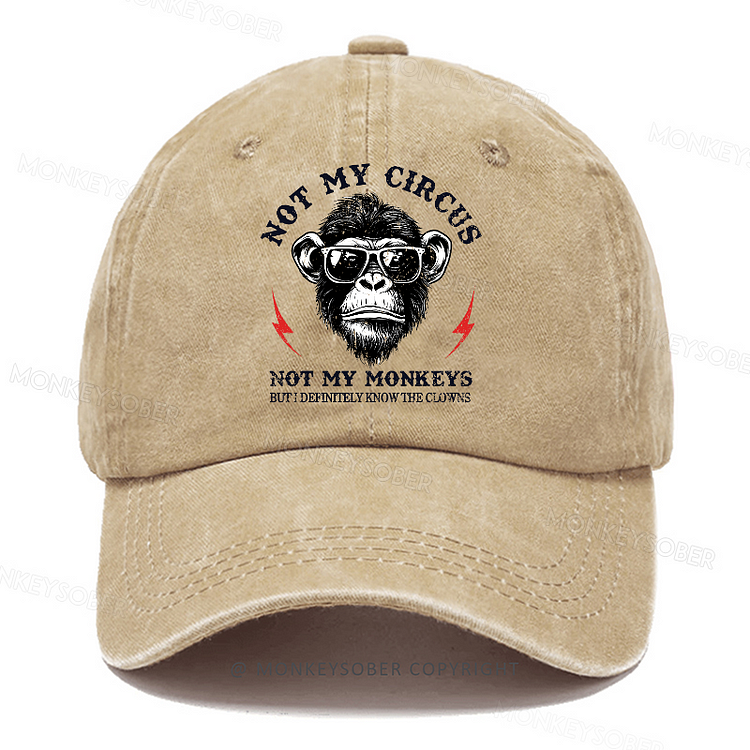 Personalized "Not My Circus Not My Monkeys But I Definitely Know The Clowns" Custom Washed Baseball Caps