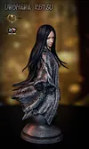 1/6 Scale Gotei 13 Series 002 Quincy Blood War Ver. Shunsui Kyōraku - Bleach Resin Statue - NIREN Studios