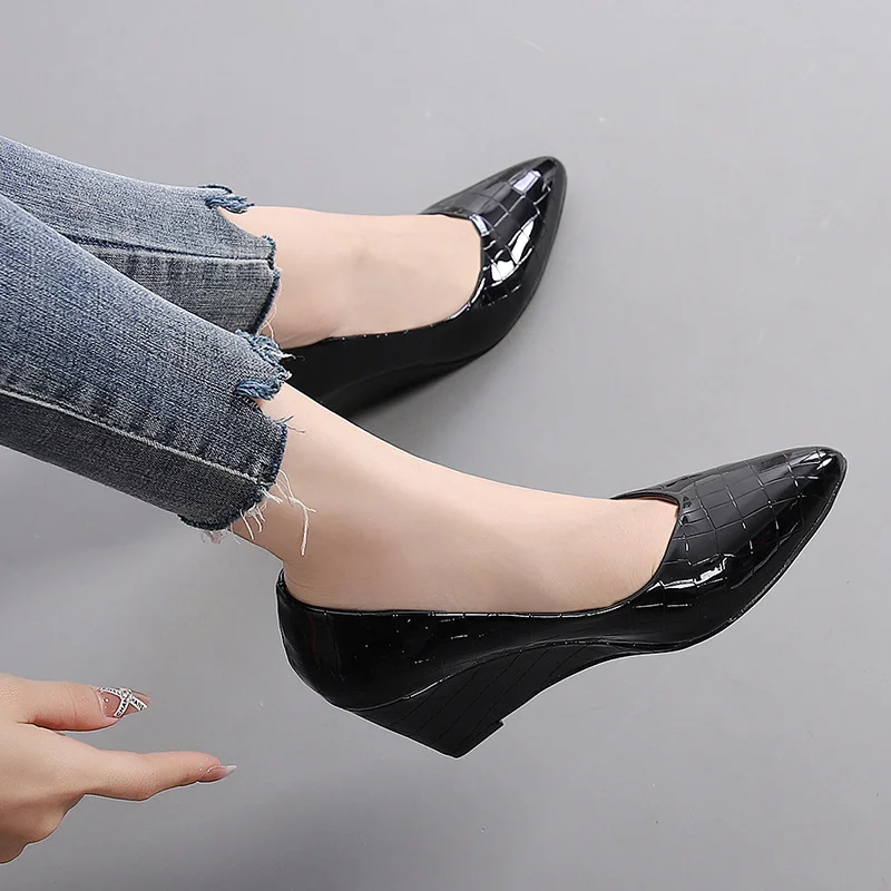 Wongn Wongn And Autumn New Wedge Single Shoes Women Pointed Head Shallow High Heel Work Shoes Single Shoes