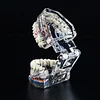 Dental Restoration Model Oral Pathology Doctor-Patient Communication Teaching Restoration Comprehensive With Nerve Part Removable Tooth Model