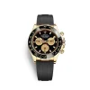 Rolex 116518LN Daytona Intense Black and champagne-colour - New