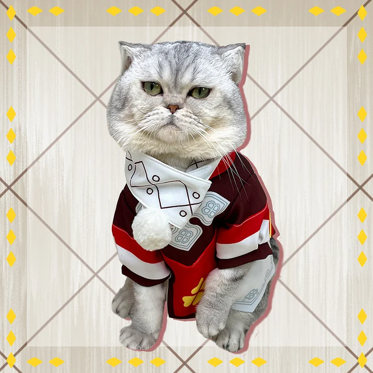 Genshin Impact Klee Cat Cosplay Costume Halloween Christmas Gift weebmemes