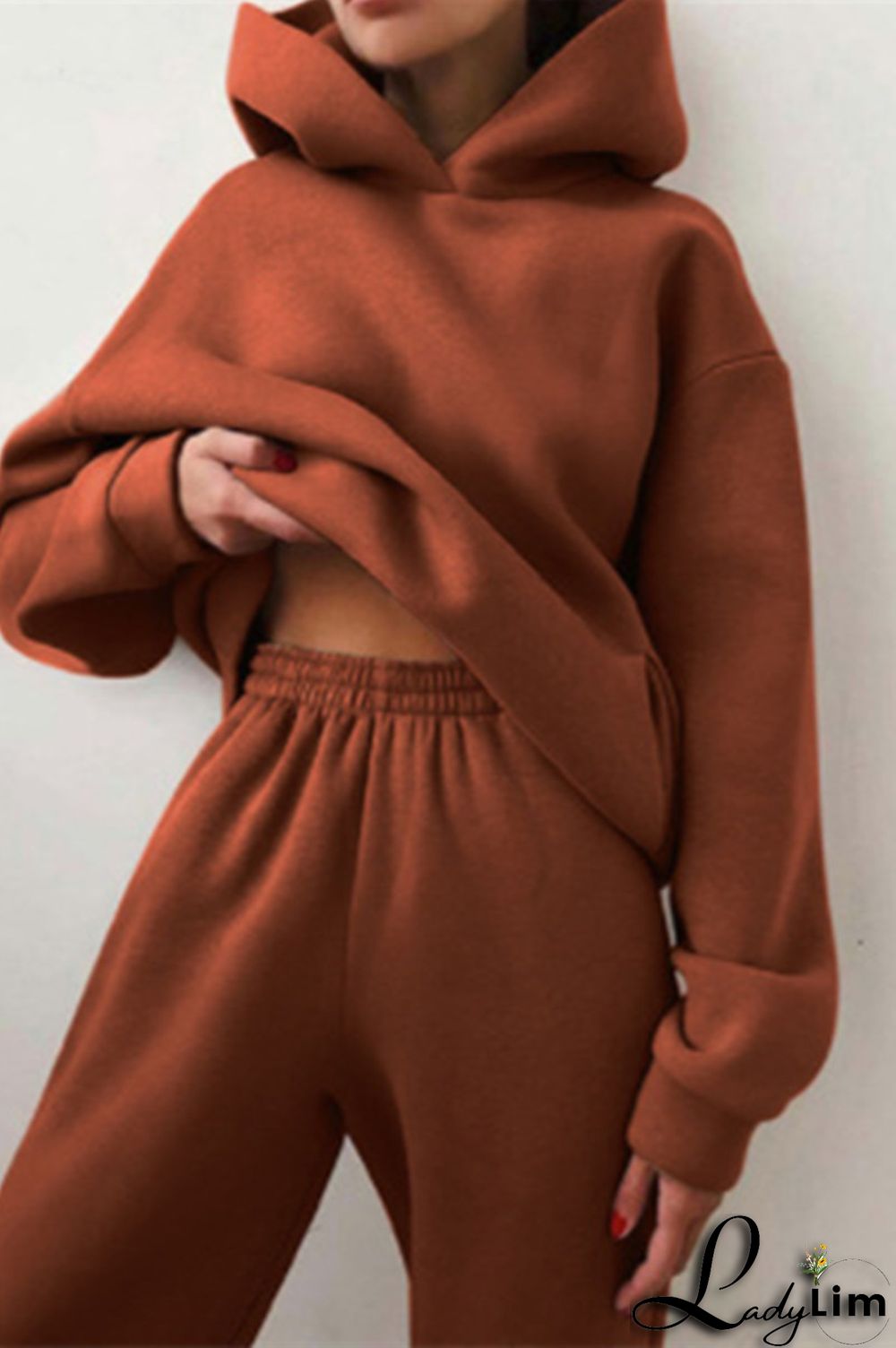 Purple Fashion Casual Solid Basic Hooded Collar Long Sleeve Two Pieces