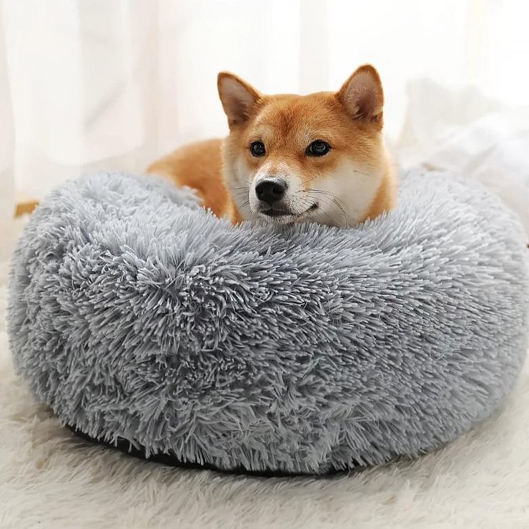 Pawpy™ Calming Pet Bed
