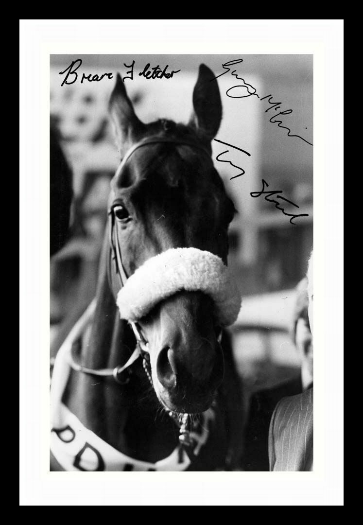 Tommy Stack & Brian Fletcher & Ginger McCain - Red Rum Signed & Framed Photo Poster painting